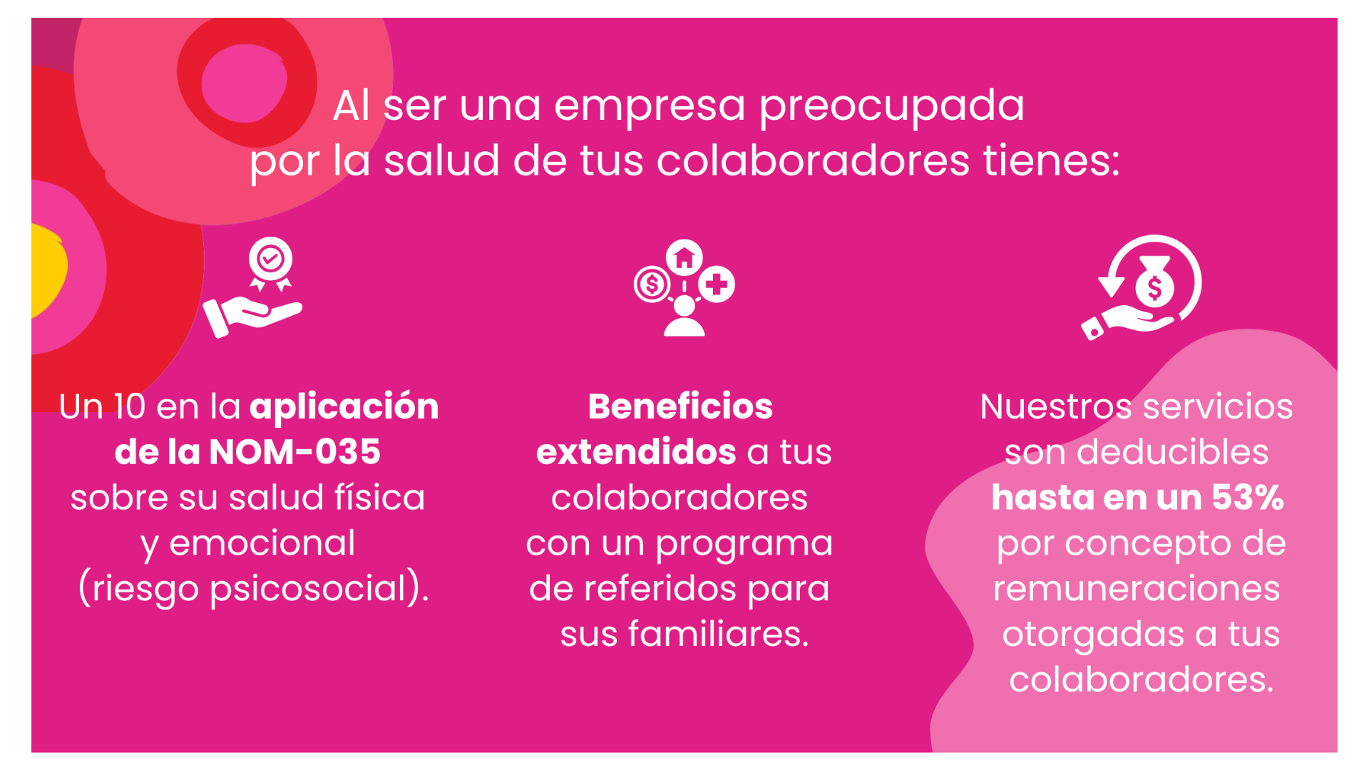 IMG-ENTEM